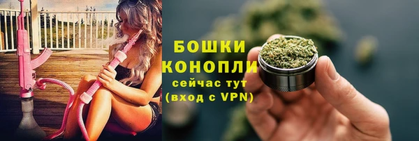 стафф Богородицк