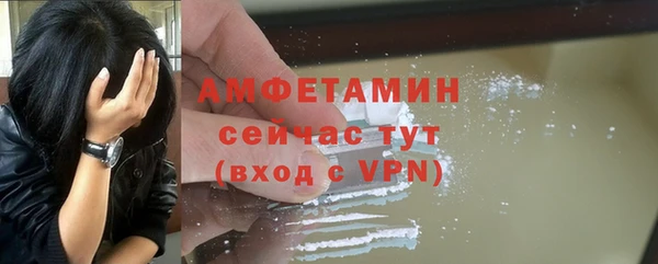 мдпв Богданович