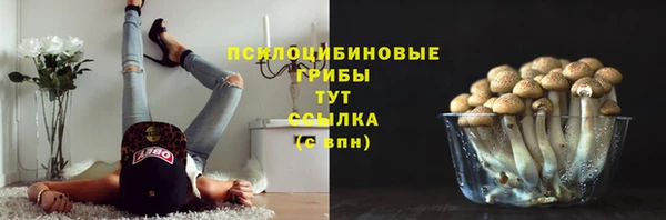 мдпв Богданович