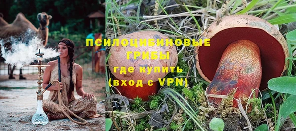 мдпв Богданович