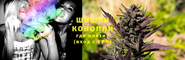 стафф Богородицк