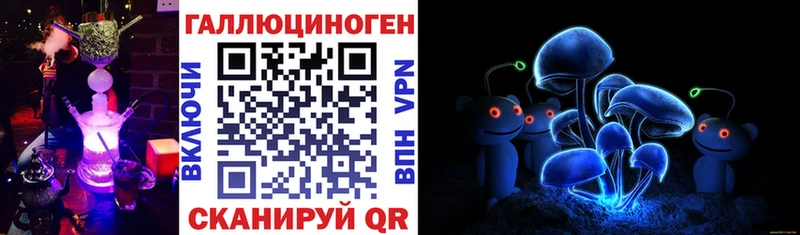 закладки  KRAKEN ССЫЛКА  Псилоцибиновые грибы прущие грибы  Чёрмоз 