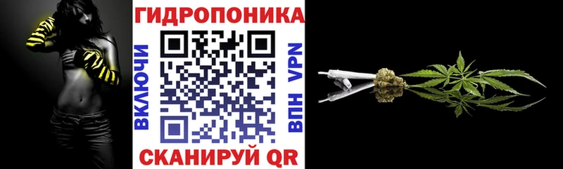 Бошки Шишки Amnesia  продажа наркотиков  Чёрмоз 